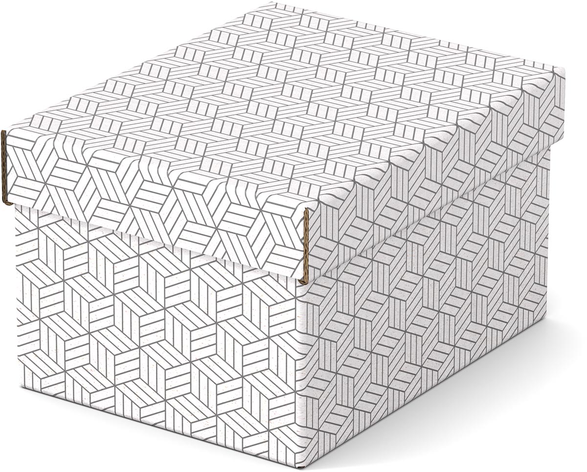 Esselte Home opberg- en geschenkdoos, ft 20 x 25,5 x 15 cm, wit, pak van 3 stuks Esselte Home opberg- en geschenkdoos, ft 20 x 25,5 x 15 cm, wit, pak van 3 stuks