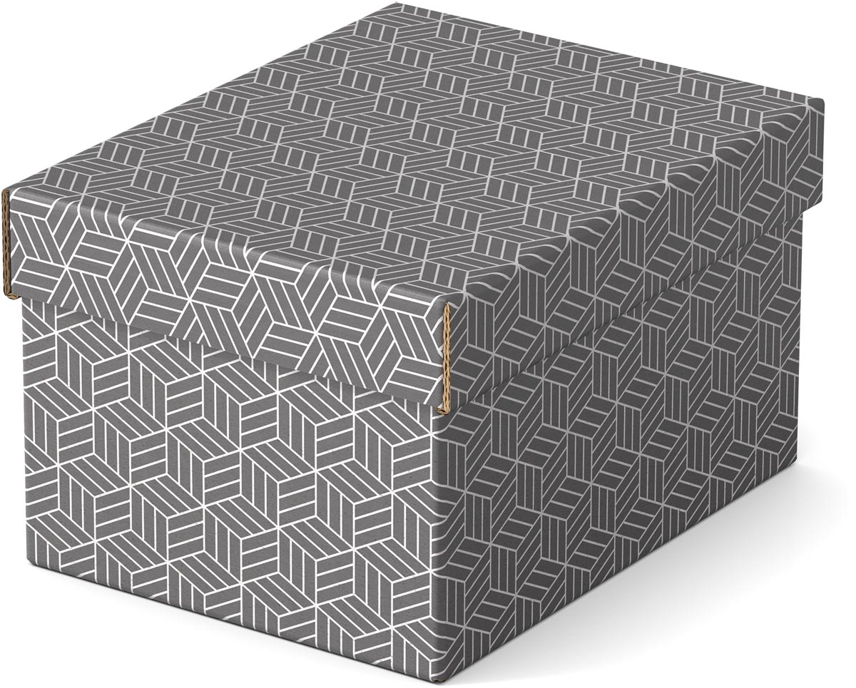 Esselte Home opberg- en geschenkdoos, ft 20 x 25,5 x 15 cm, grijs, pak van 3 stuks Esselte Home opberg- en geschenkdoos, ft 20 x 25,5 x 15 cm, grijs, pak van 3 stuks