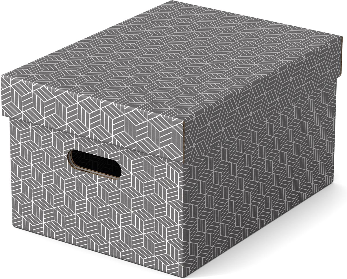 Esselte Home opbergdoos, ft 26,5 x 36,5 x 20,5 cm, grijs, pak van 3 stuks afbeelding