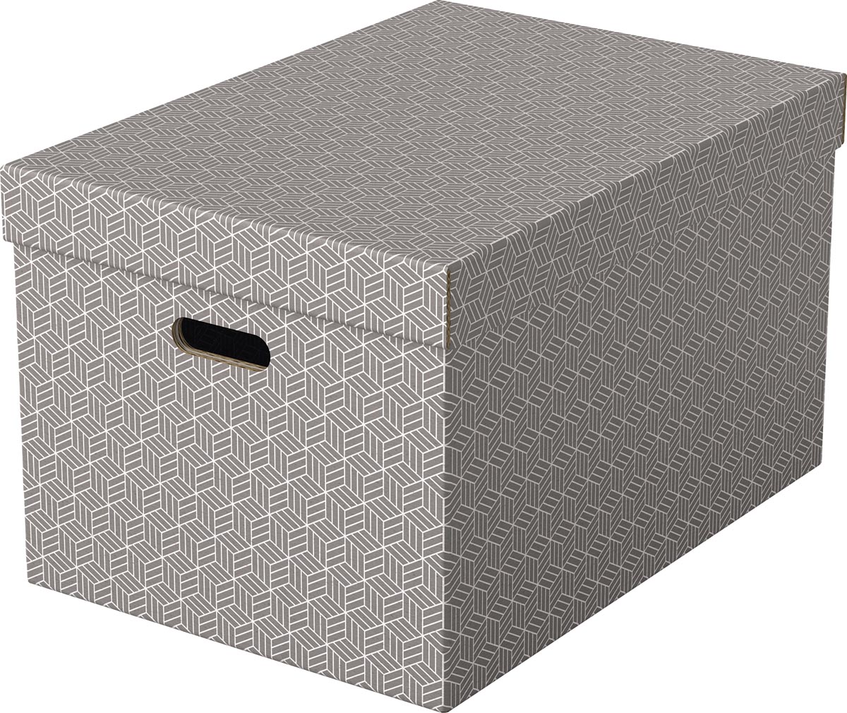 Esselte Home opbergdoos, ft 35,5 x 51 x 30,5 cm, grijs, pak van 3 stuks afbeelding