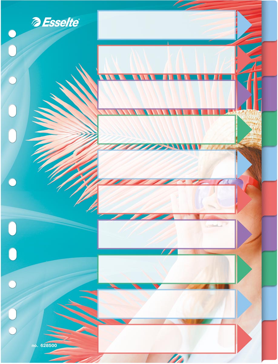 Esselte Colour&apos;Breeze tabbladen, ft A4, 11-gaatsperforatie, PP, set van 10 tabs