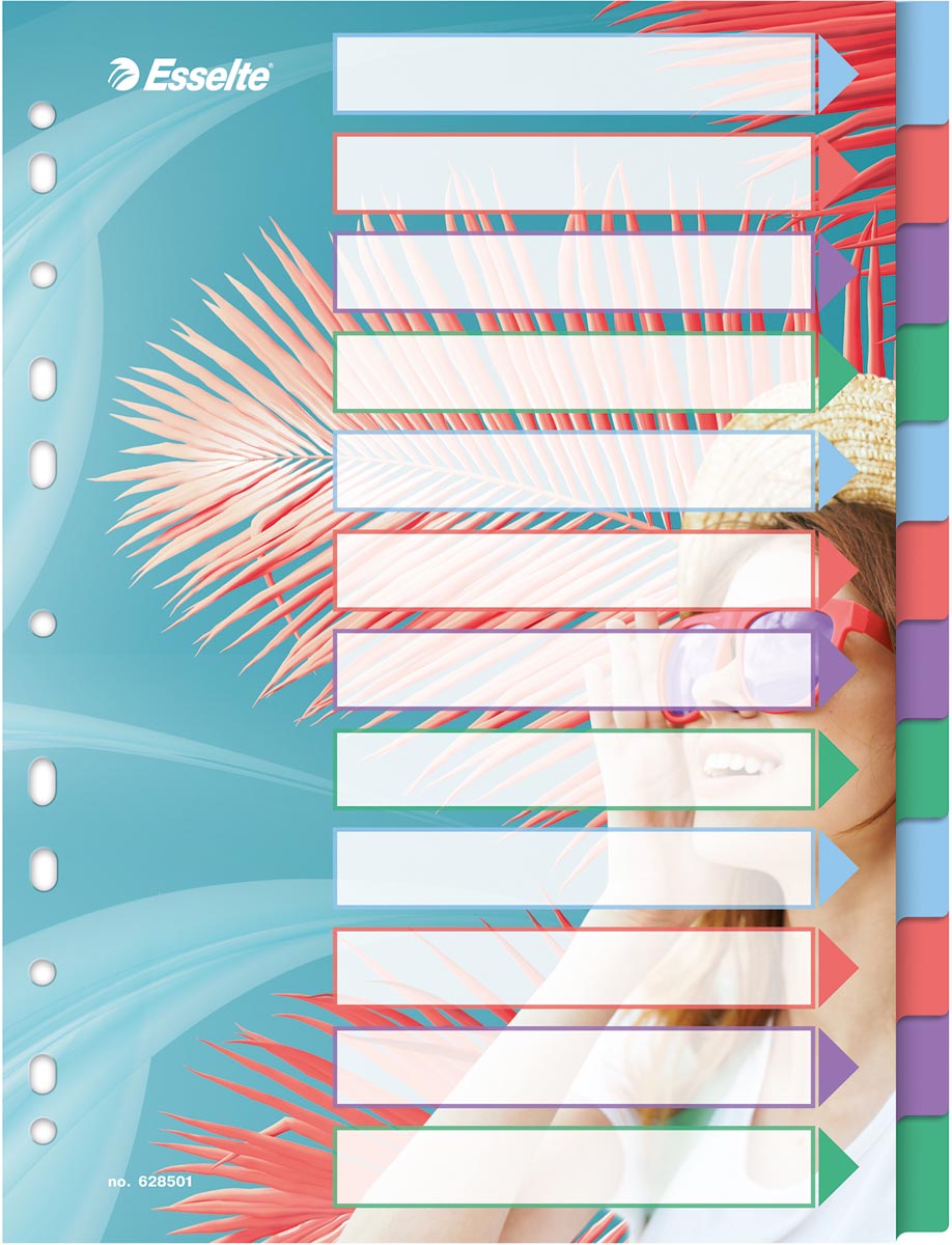 Esselte Colour'Breeze tabbladen, ft A4, 11-gaatsperforatie, PP, set van 12 tabs Esselte Colour'Breeze tabbladen, ft A4, 11-gaatsperforatie, PP, set van 12 tabs