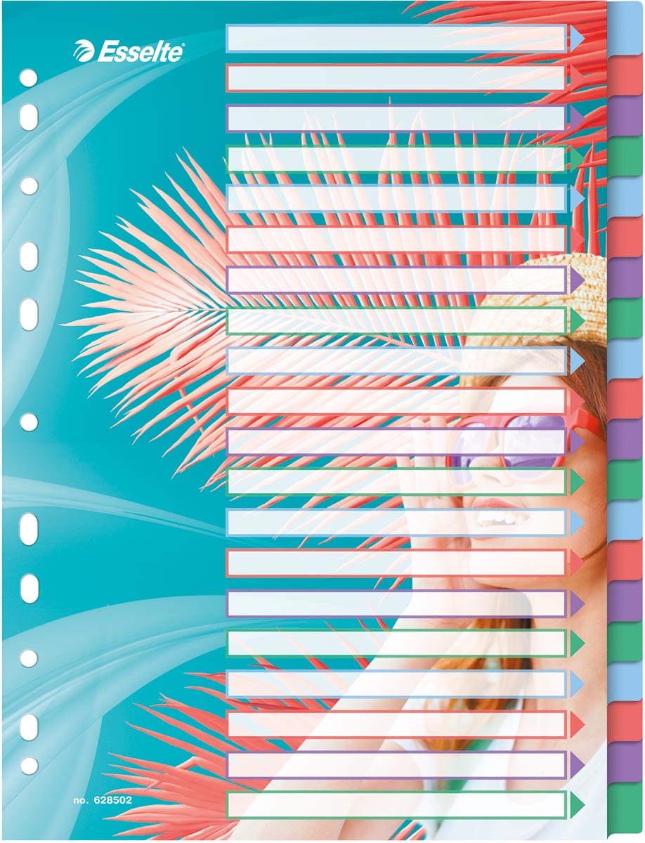 Esselte Colour'Breeze tabbladen, ft A4, 11-gaatsperforatie, PP, set van 20 tabs Esselte Colour'Breeze tabbladen, ft A4, 11-gaatsperforatie, PP, set van 20 tabs