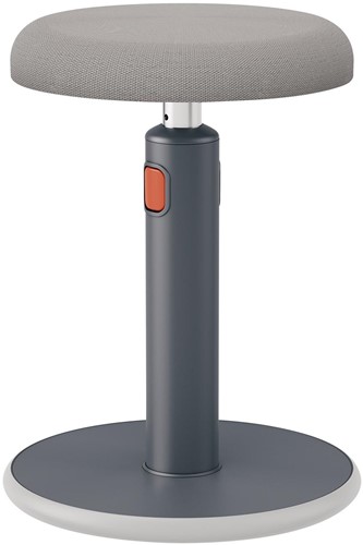 Leitz Ergo Cosy actieve Zit/Sta kruk, grijs