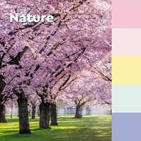 Post-it recycled notes Nature, 100 vel, ft76 x 76 mm, pak van 6 blokken, geassorteerde kleuren-3