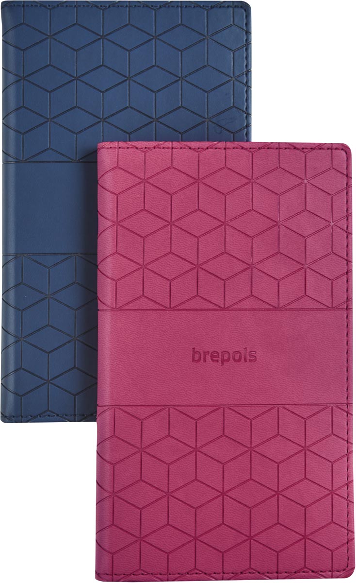 Brepols Interplan Cube, assorti, 2025 afbeelding