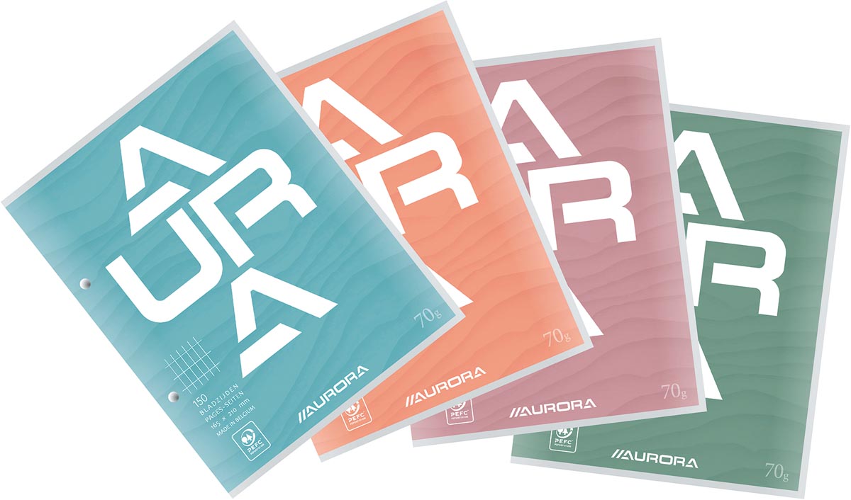 Aurora cursusblok, ft 16,5 x 21 cm, 75 vel, 2-gaatsperforatie, commercieel geruit afbeelding