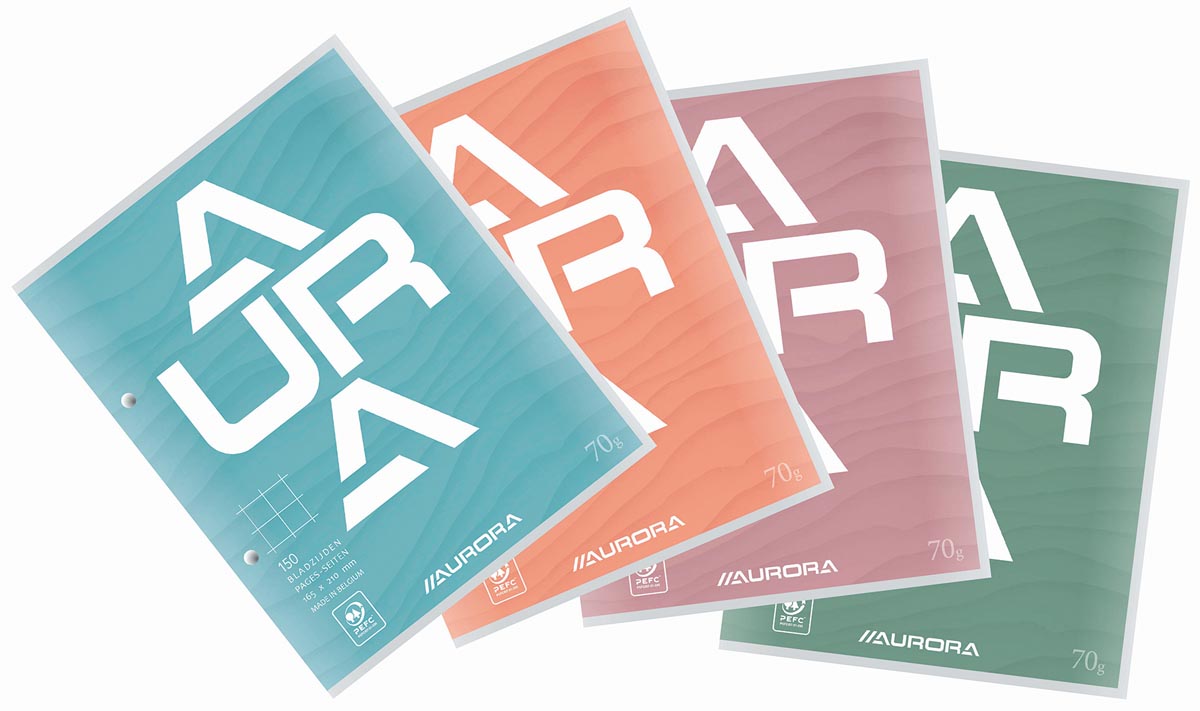 Aurora cursusblok, ft 16,5 x 21 cm, 75 vel, 2-gaatsperforatie, geruit 10 mm afbeelding