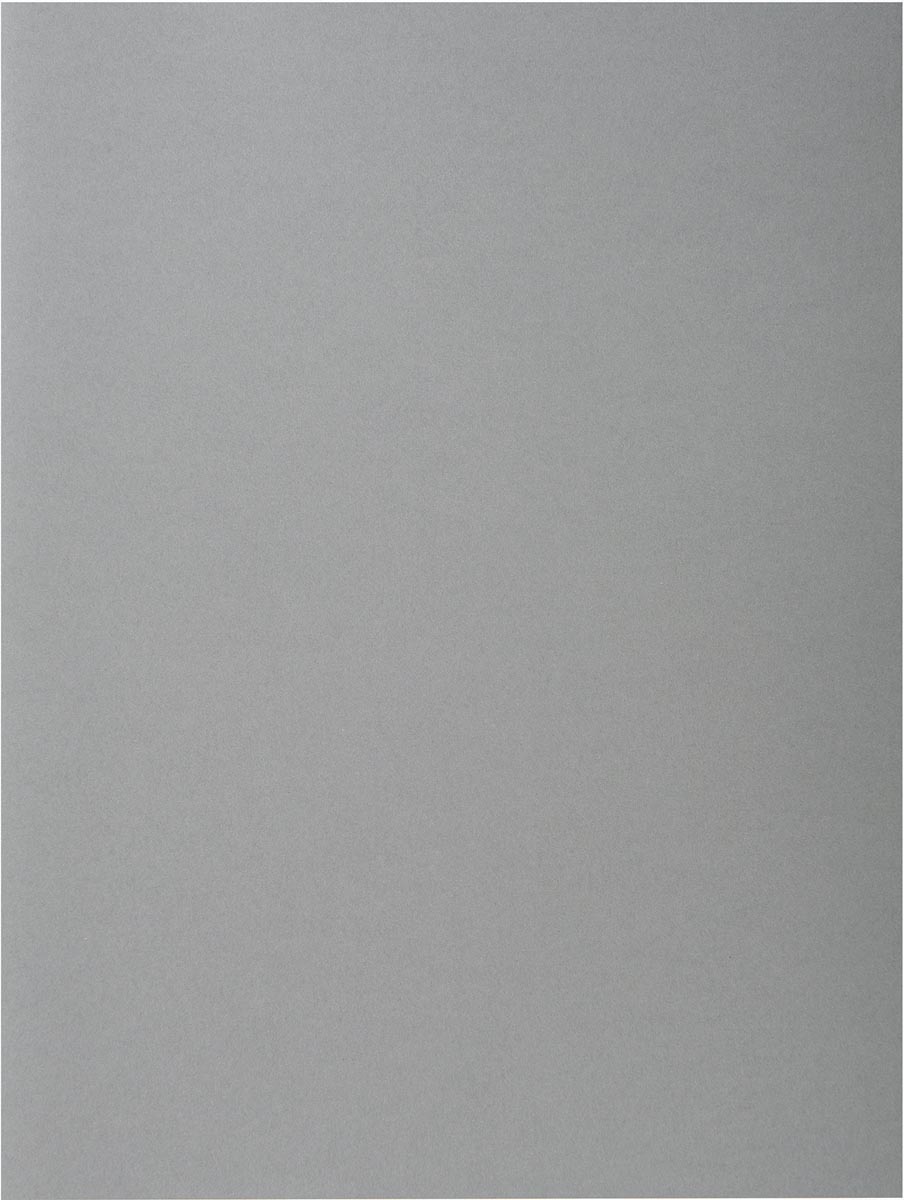 Exacompta Rock&apos;s 80 dossiermap, ft 22 x 31 cm, pak van 100, grijs afbeelding