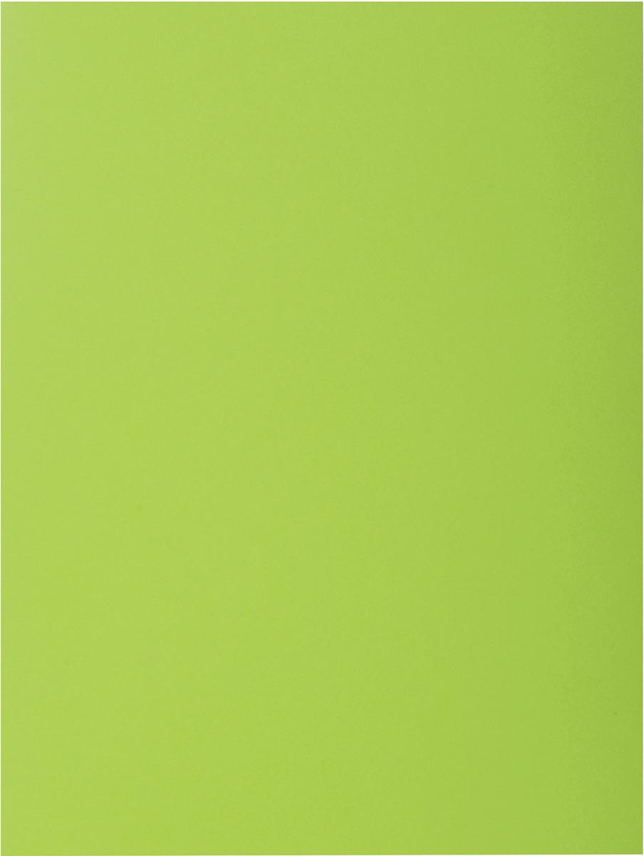 Exacompta Rock&apos;s 80 dossiermap, ft 22 x 31 cm, pak van 100, muntgroen afbeelding