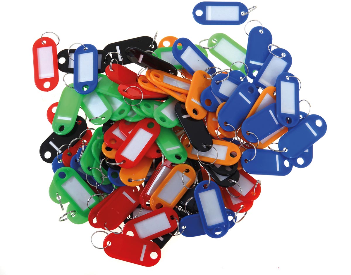 Sleutelhangers geassorteerde kleuren x100 afbeelding