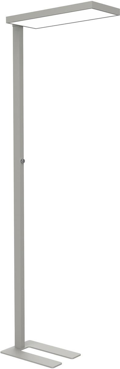 MAULjura vloerlamp, LED, zilver afbeelding
