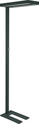 MAULjaval vloerlamp, LED, zwart