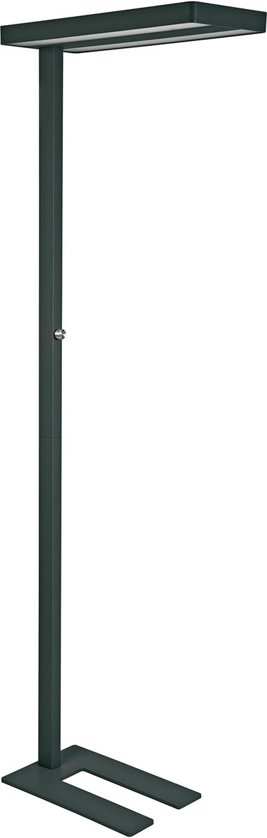 MAULjaval vloerlamp, LED, zwart afbeelding