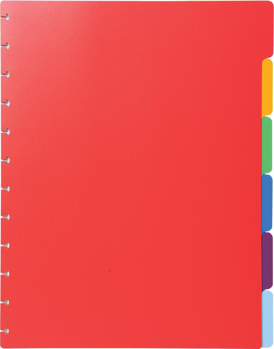 Exacompta uitneembare tabbladen voor showalbum met ringen, in gekleurd PP, 6 tabs Exacompta uitneembare tabbladen voor showalbum met ringen, in gekleurd PP, 6 tabs