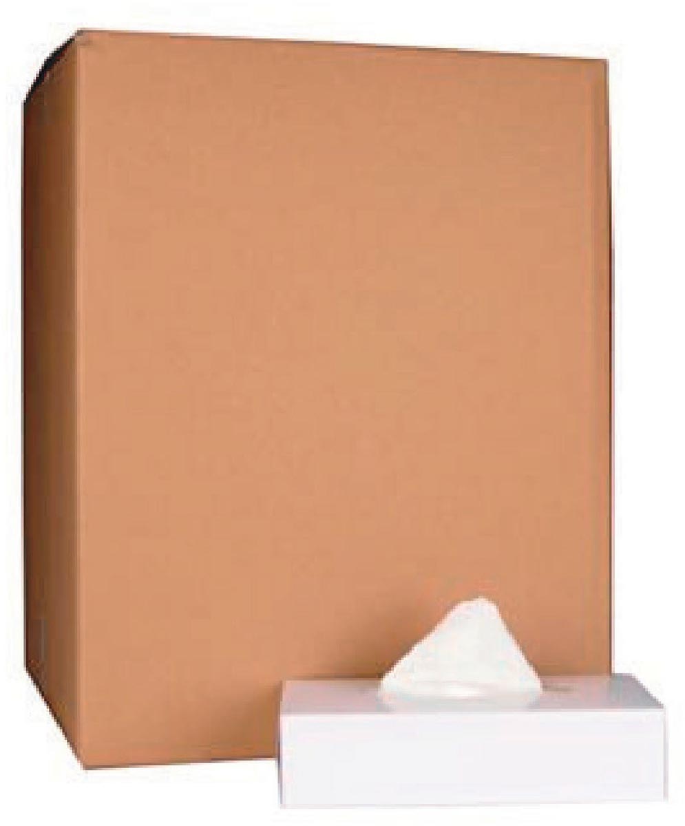 Papieren zakdoek, 2-laags, 100 tissues per doos, pak van 40 doosjes Papieren zakdoek, 2-laags, 100 tissues per doos, pak van 40 doosjes