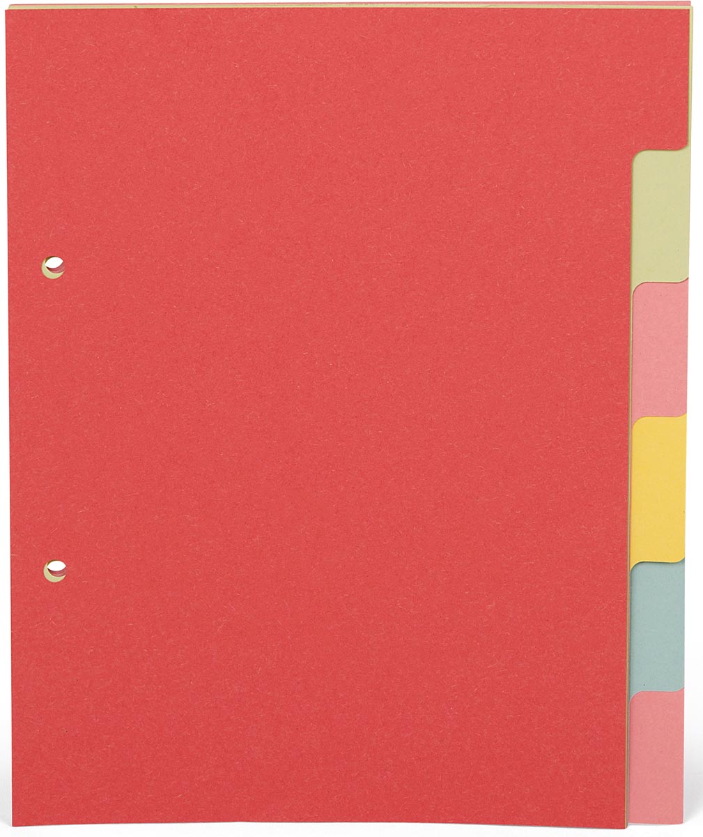 Pergamy tabbladen ft A5, 2-gaatsperforatie, karton, geassorteerde pastelkleuren, 6 tabs afbeelding