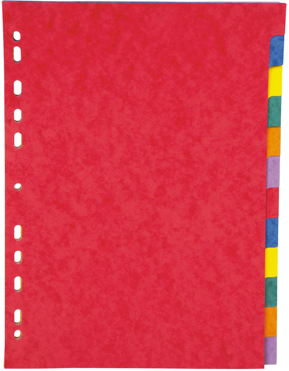Pergamy tabbladen ft A4, 11-gaatsperforatie, stevig karton, geassorteerde kleuren, 12 tabs afbeelding