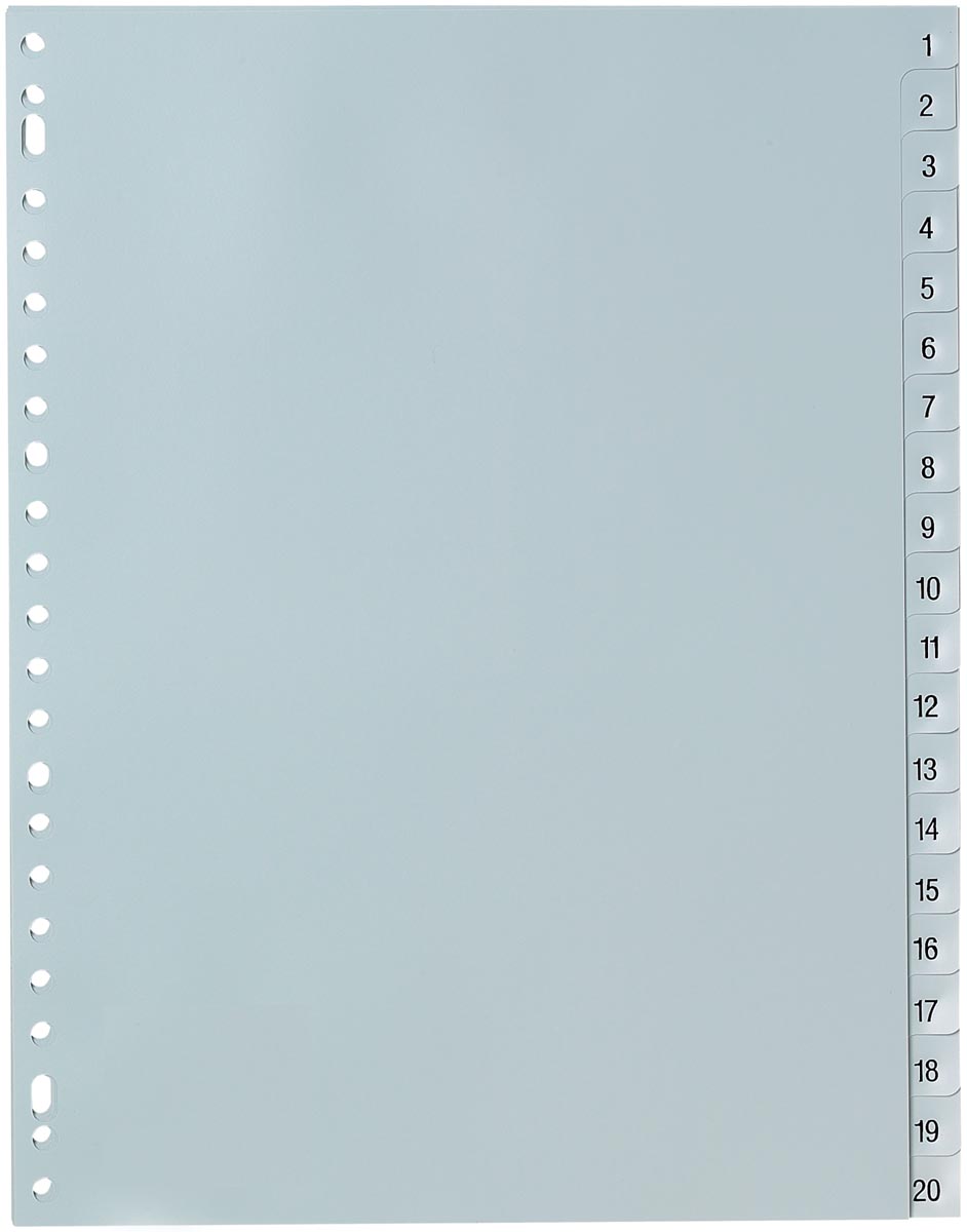 5 Star Tabbladen Set 1 20 Ft A4 huismerk kopen in de aanbieding 5 Star Tabbladen Set 1 20 Ft A4 huismerk kopen in de aanbieding