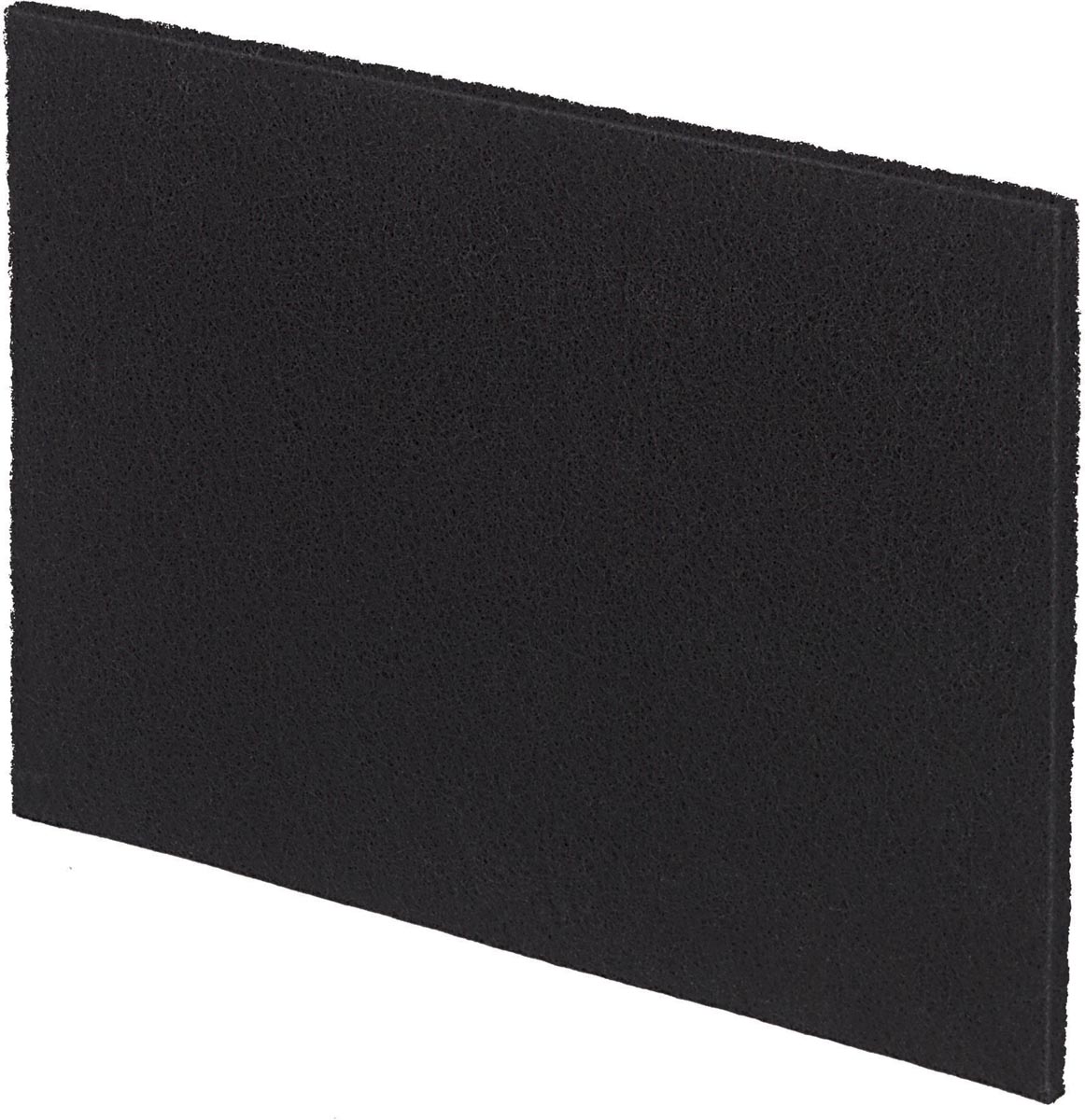 Fellowes koolstoffilter voor PT65, pak van 2 filters