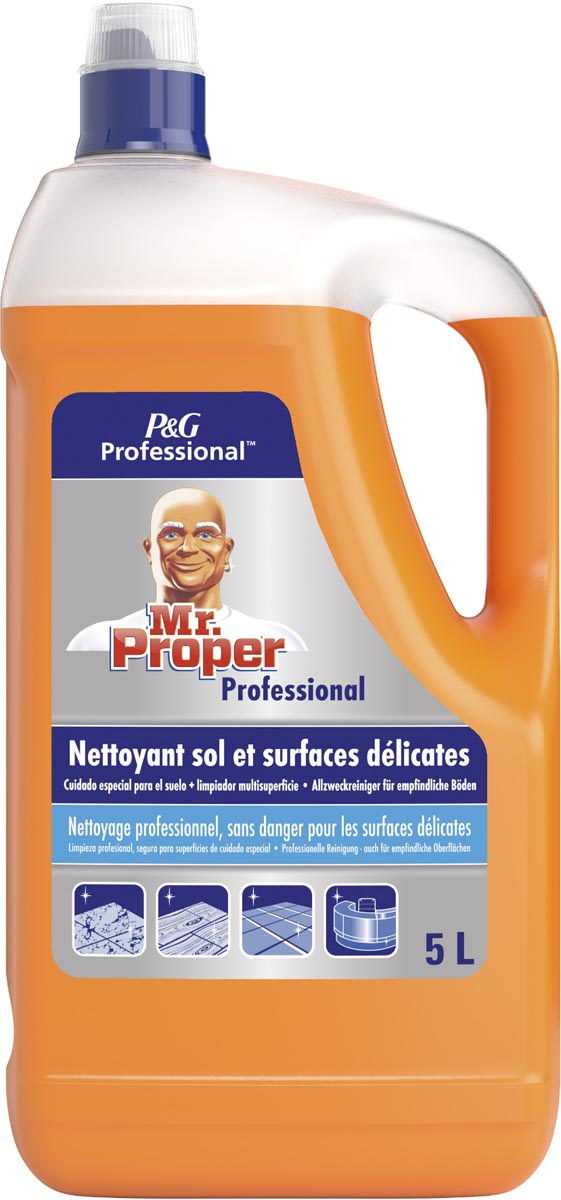 Mr. Proper allesreiniger delicate fles van 5 liter