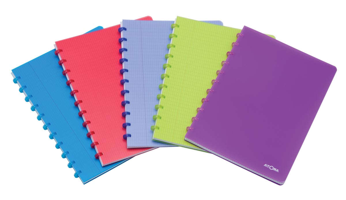 Atoma Trendy schrift, ft A4, 144 bladzijden, PP, commercieel geruit, geassorteerde kleuren afbeelding