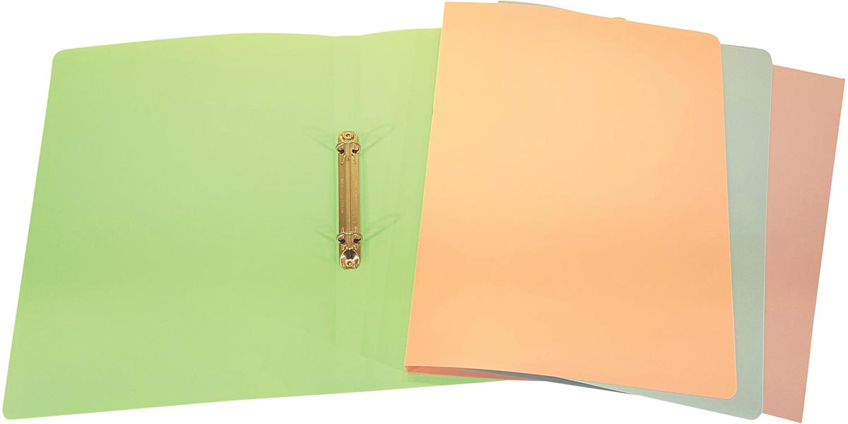 Bronyl ringmap Pastel Plus rug van 2,2 cm, ringen van 16 mm