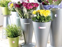 Avery Family gelamineerde etiketten, etui met 24 etiketten, geassorteerde formaten en fluo kleuren-1
