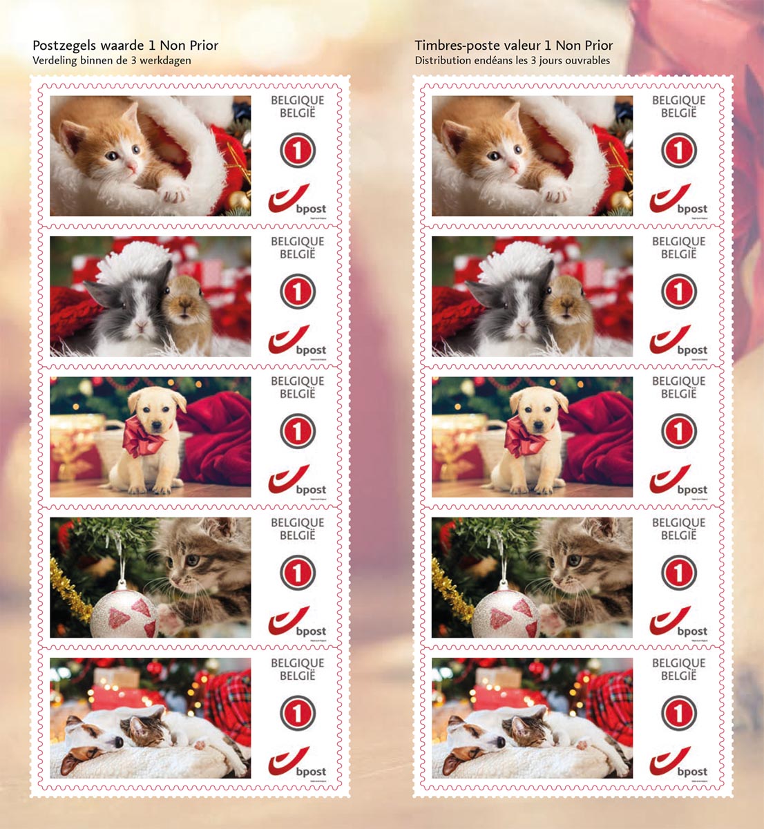 Bpost postzegel nationaal, eindejaar thema Fantasy Winter, blister van 10 stuks, non-prior