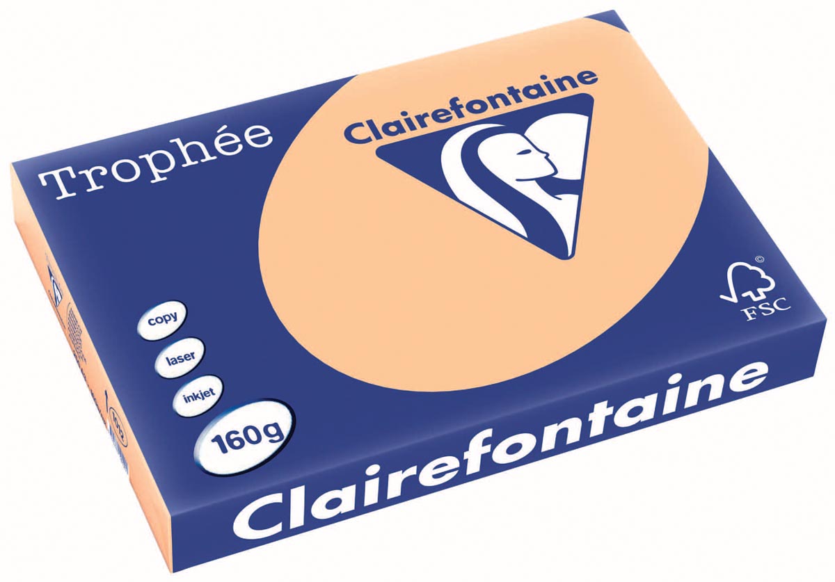 Clairefontaine Trophée Pastel, gekleurd papier, A3, 160 g, 250 vel, abrikoos Clairefontaine Trophée Pastel, gekleurd papier, A3, 160 g, 250 vel, abrikoos