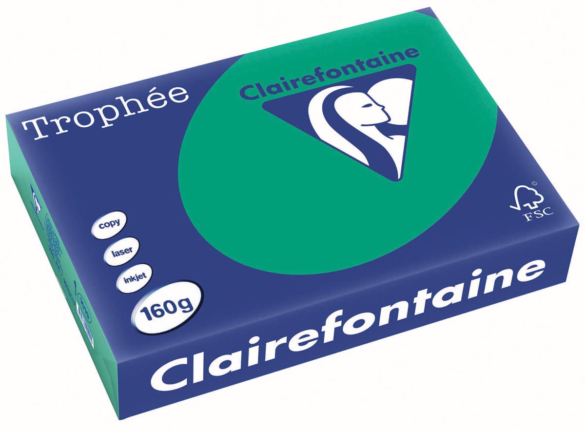 Clairefontaine Trophée Intens, gekleurd papier, A4, 160 g, 250 vel, dennengroen afbeelding