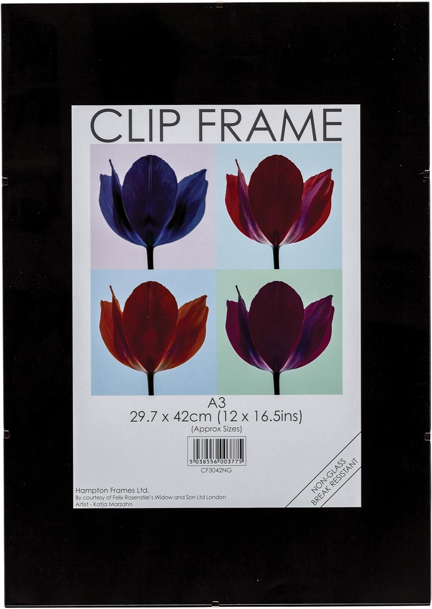 Tpac Fotokader Met Clips Ft A3 huismerk kopen in de aanbieding