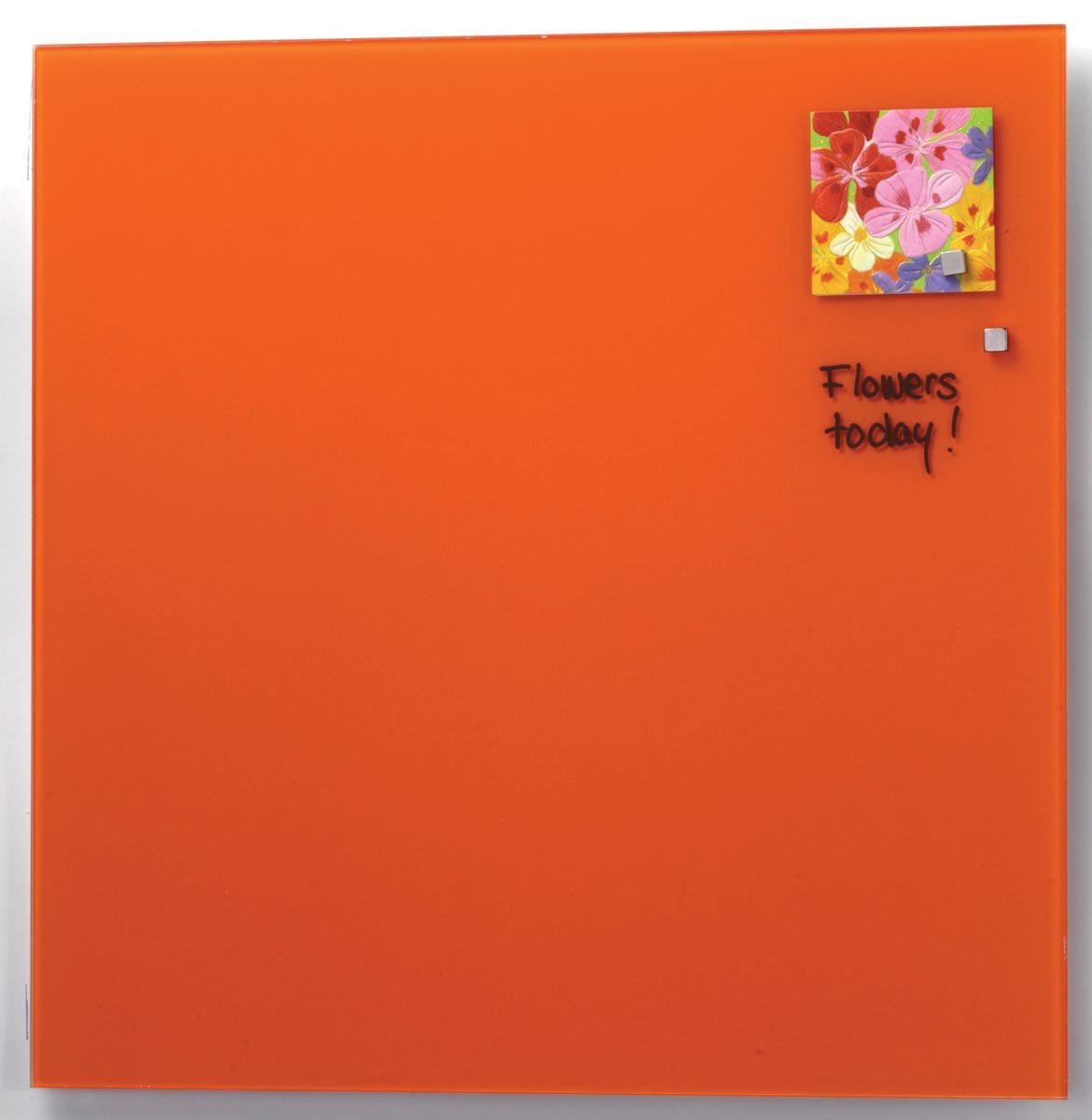 Naga magnetisch glasbord, oranje, ft 45 x 45 cm