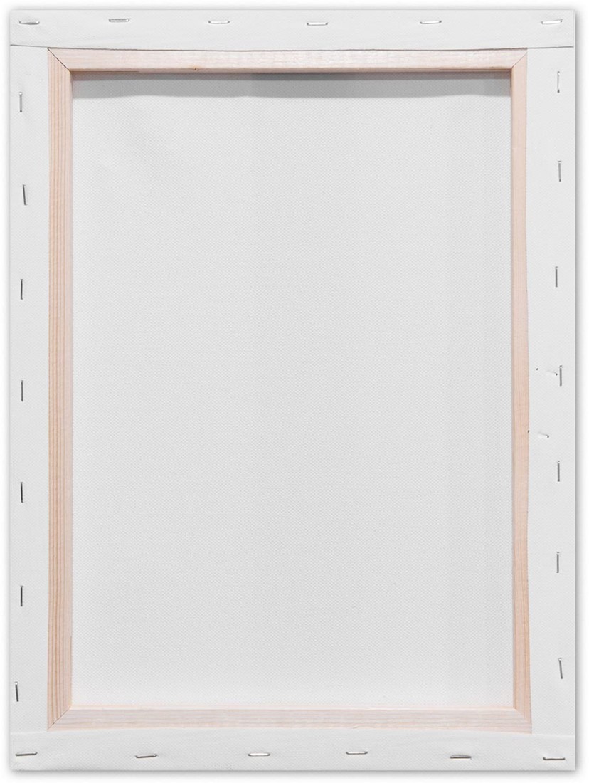 Toile à Peindre Kangaro - 30x40 Cm, Coton 380 G/m², Apprêt Gesso, Cadre Pin 16 Mm, 8 Cales Incluses