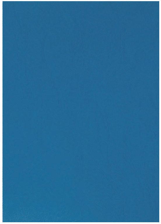 Q-CONNECT dekblad A4 leder 250 grams 100 stuks blauw afbeelding