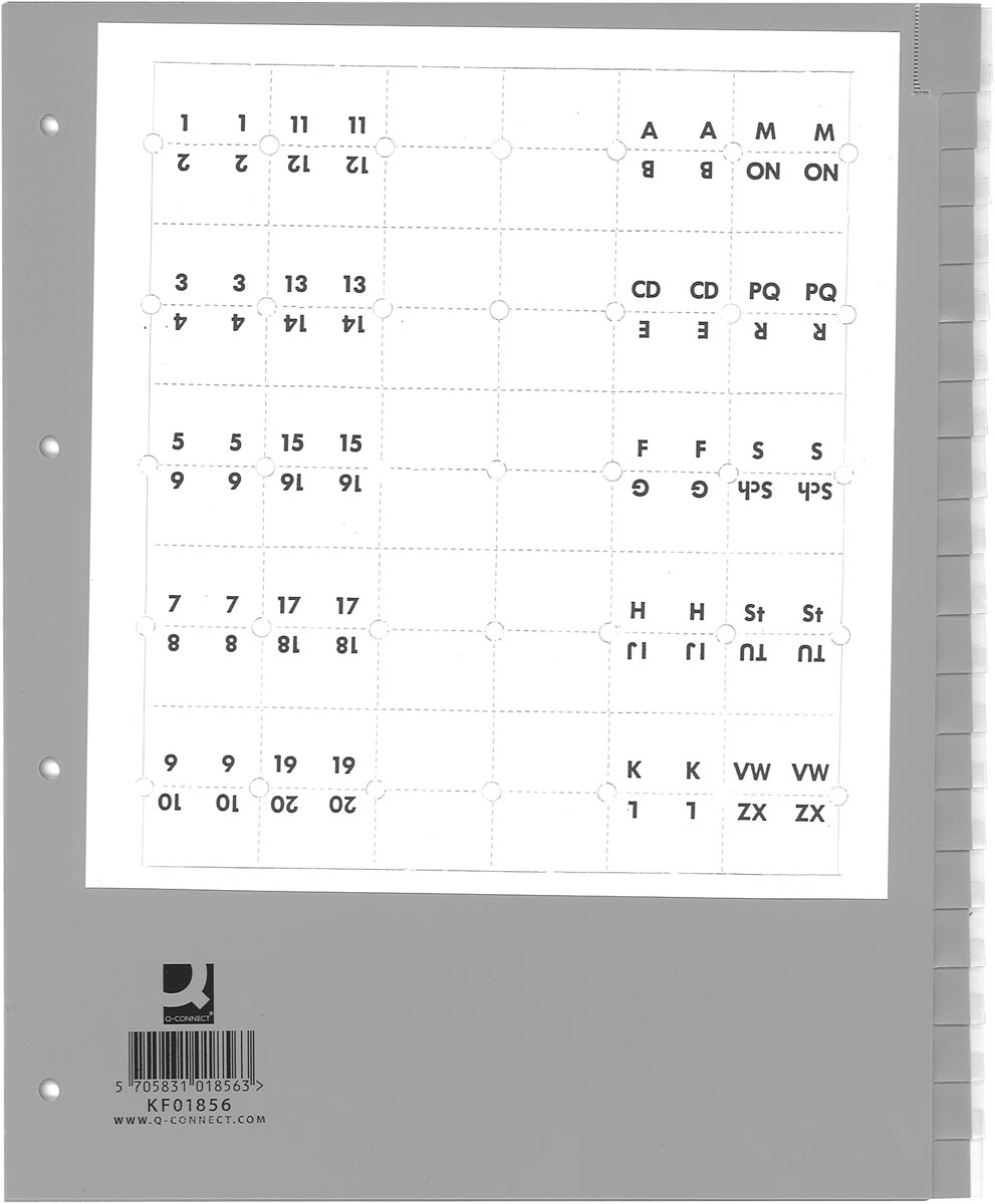 Q-CONNECT tabbladen, A4, PP, 4-gaatsperforatie, 20 tabs, grijs afbeelding