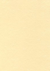 Decadry papier à structure champagne, 165 g, paquet de 50 feuilles