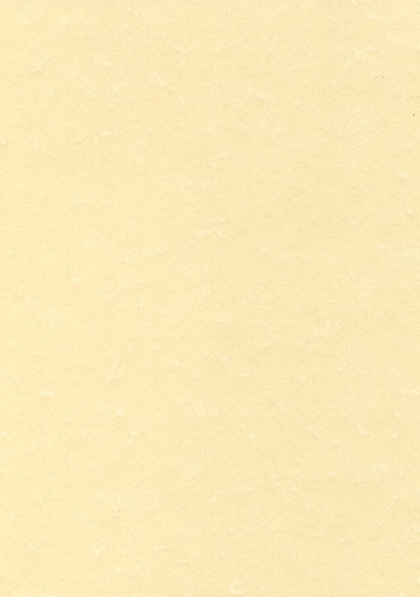 Decadry structuurpapier champagne, 165 g, pak van 50 vel
