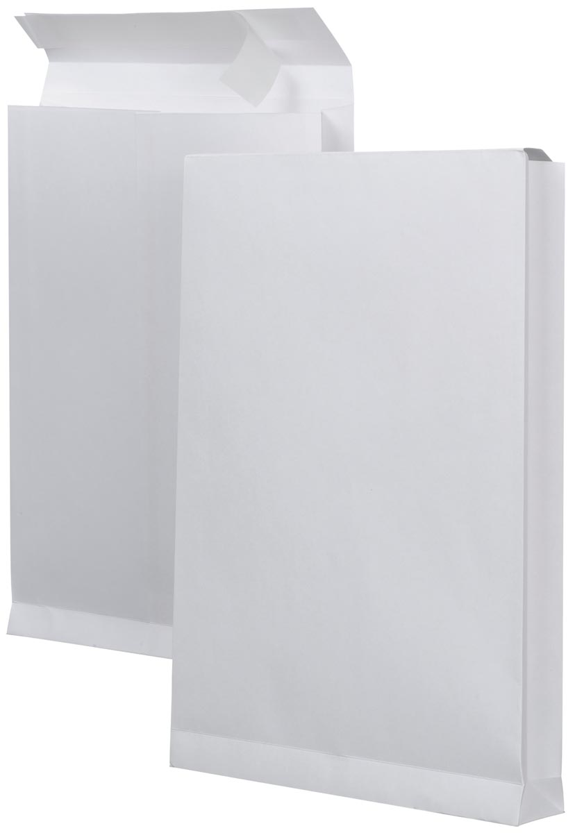 Monsterzakenveloppen ft 262 x 371 x 38 mm afbeelding