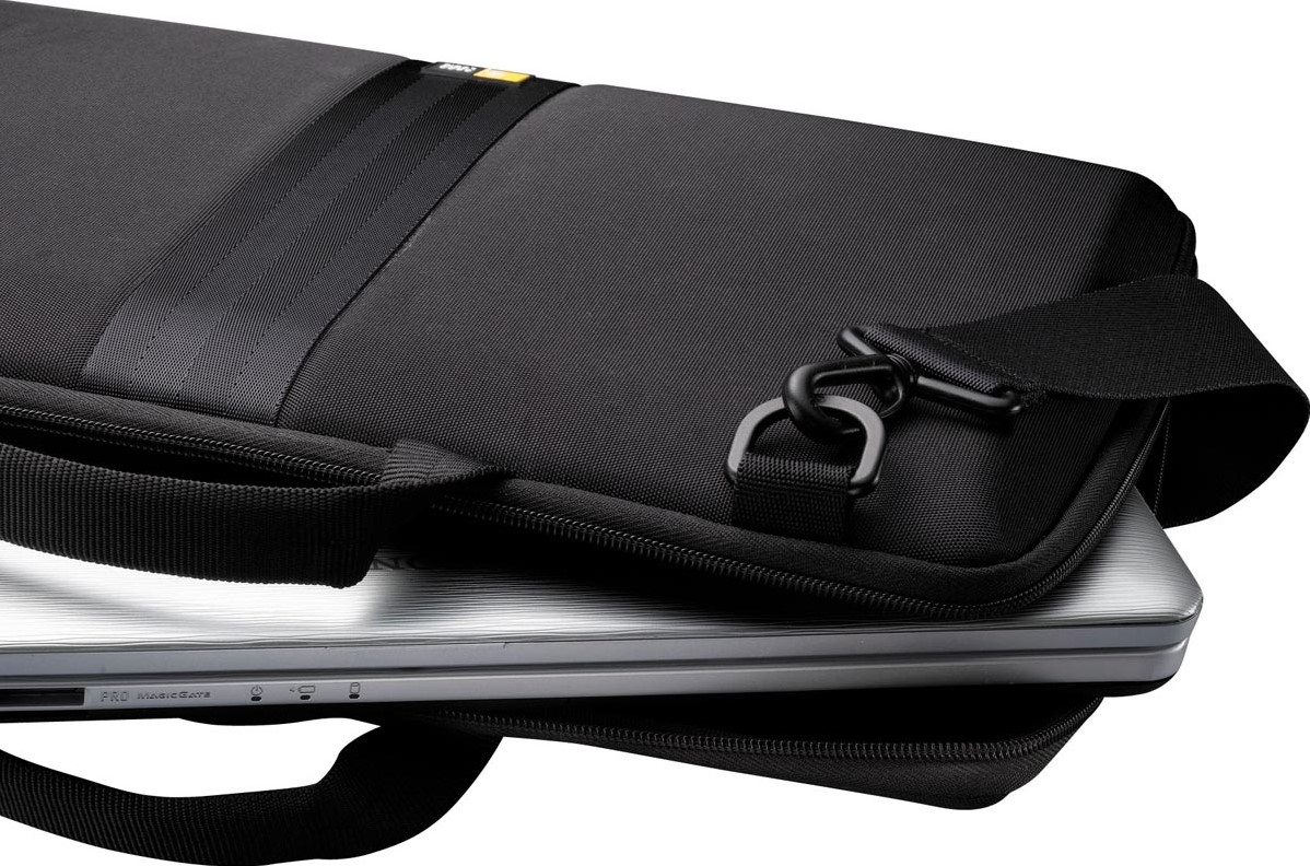 Case