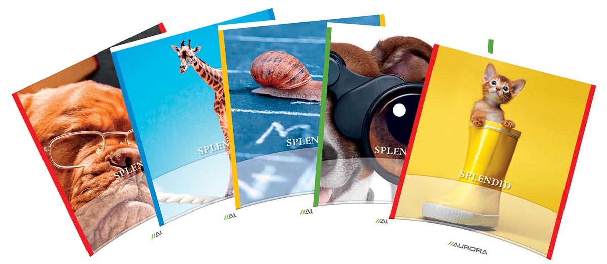 Splendid Schrift 36 Bladzijden Ft 165 X 21 Cm 3 Lijnen huismerk kopen in de aanbieding