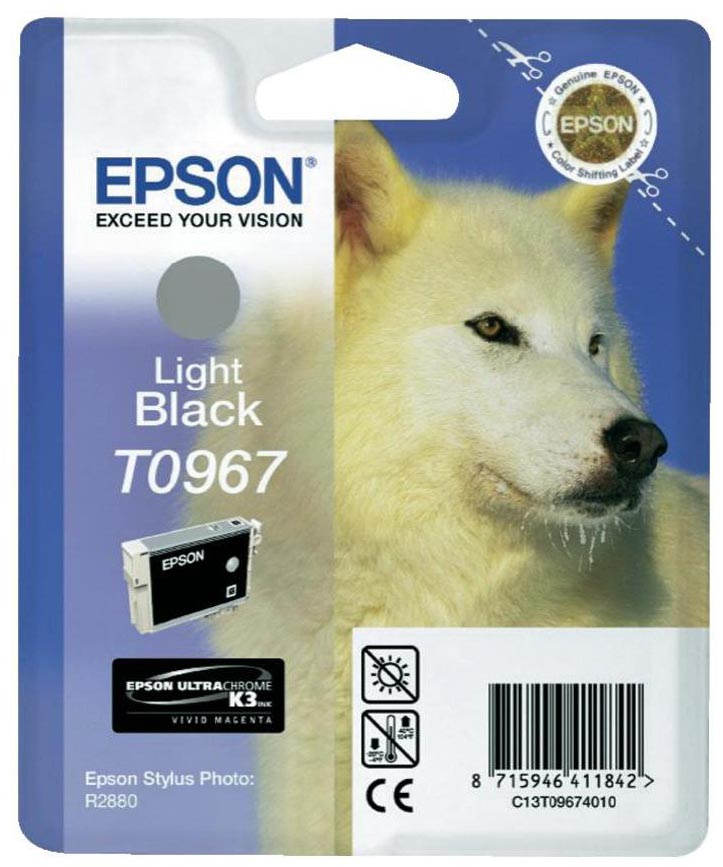 Epson inktcartridge T0967, 6.210 pagina's, OEM C13T09674010, grijs